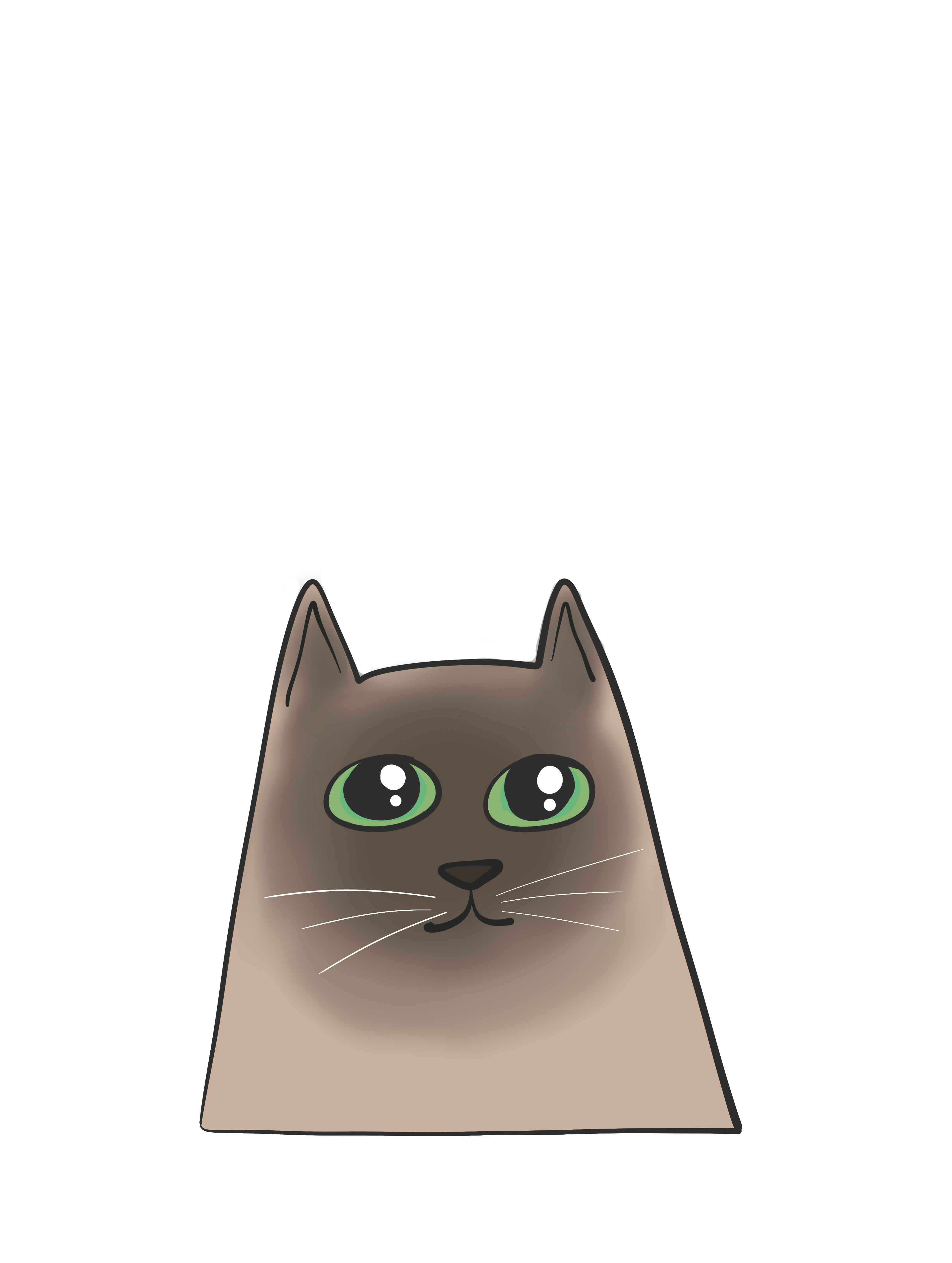 Harry Cat