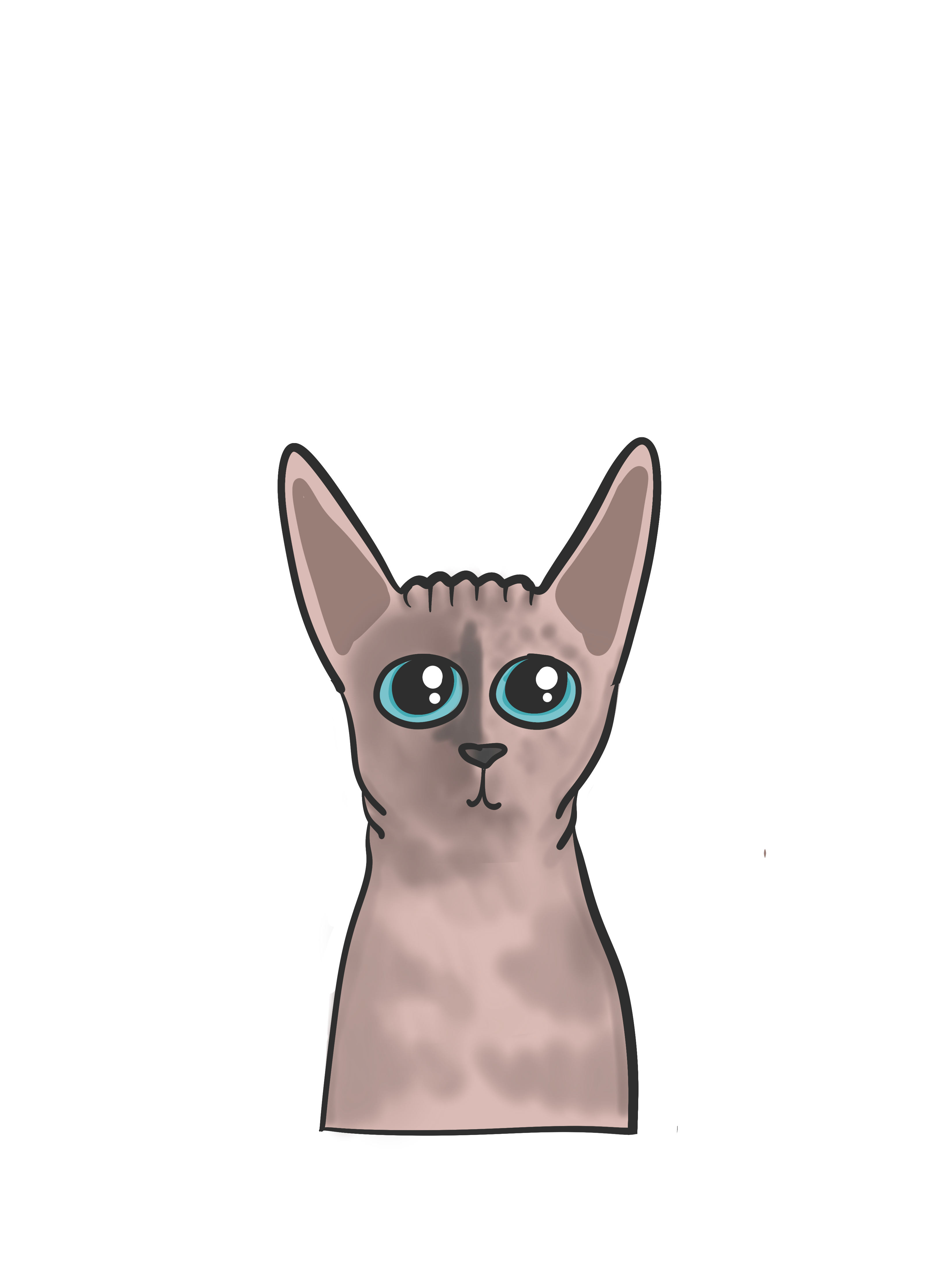 Phoebe