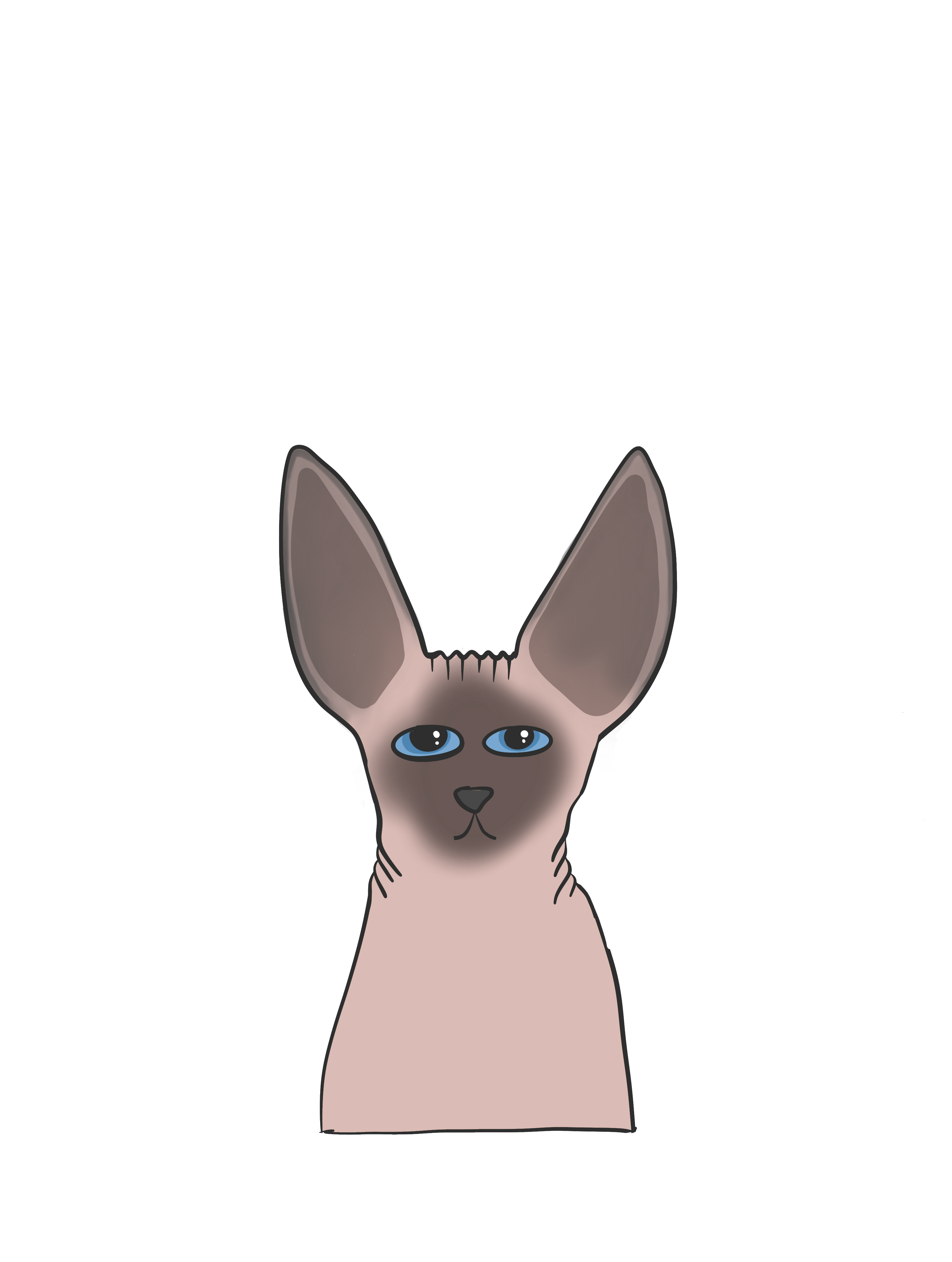 Shadow
