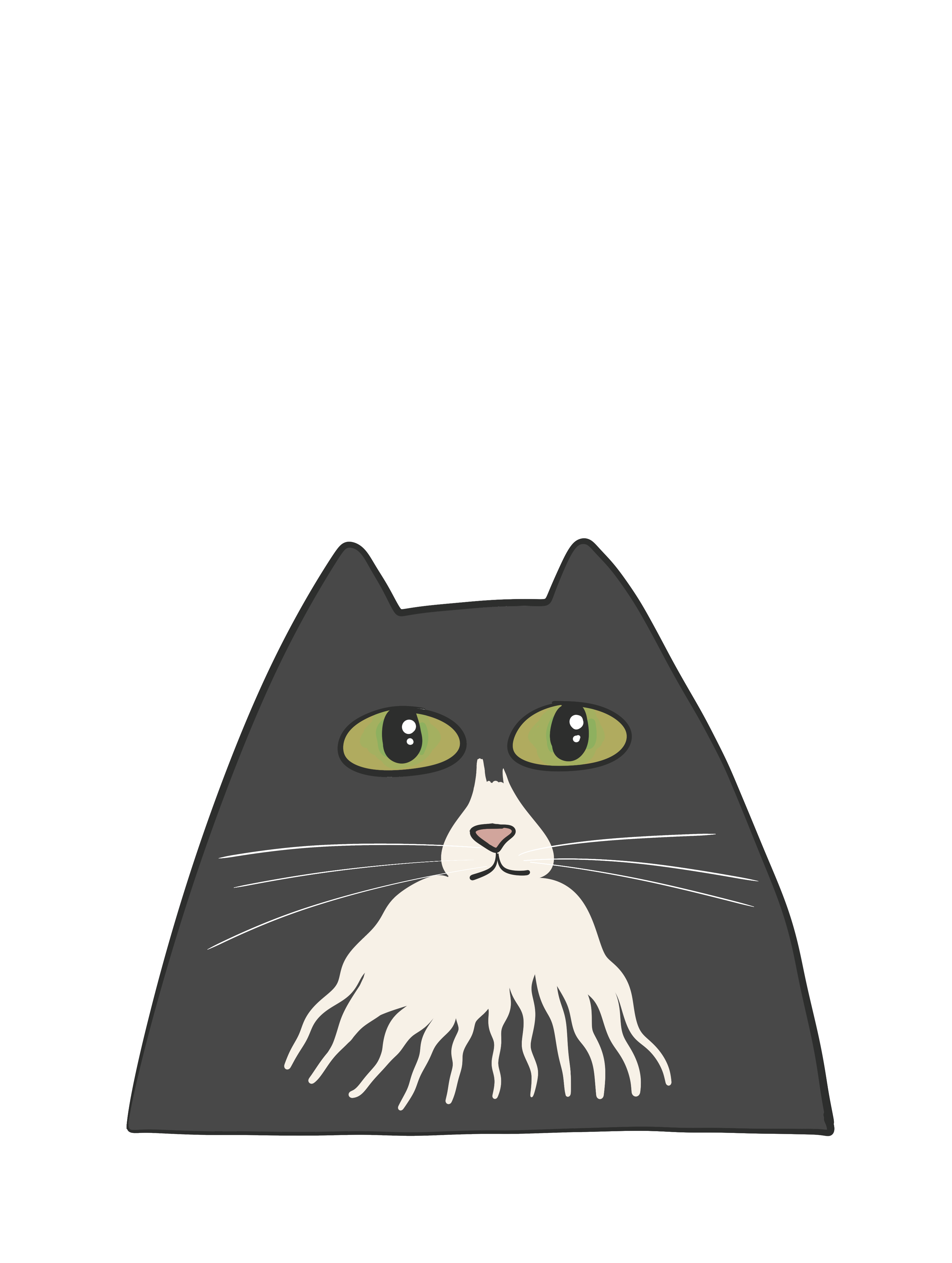 Zorro
